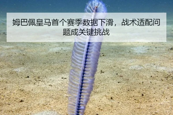 姆巴佩皇马首个赛季数据下滑，战术适配问题成关键挑战