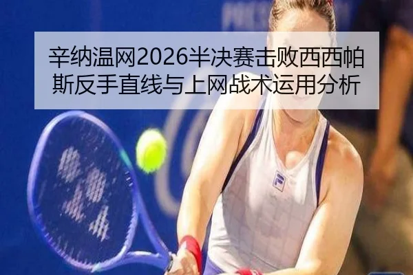 xin-na-wen-wang-ban-jue-sai-ji-bai-xi-xi-pa-si-fan-shou-zhi-xian-yu-shang-wang-zhan-shu-yun-yong-fen-xi-2-787.jpg